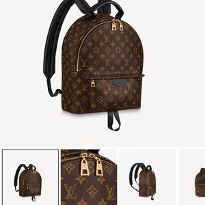 Authentic Louis Vuitton Palm Springs MM back pack
